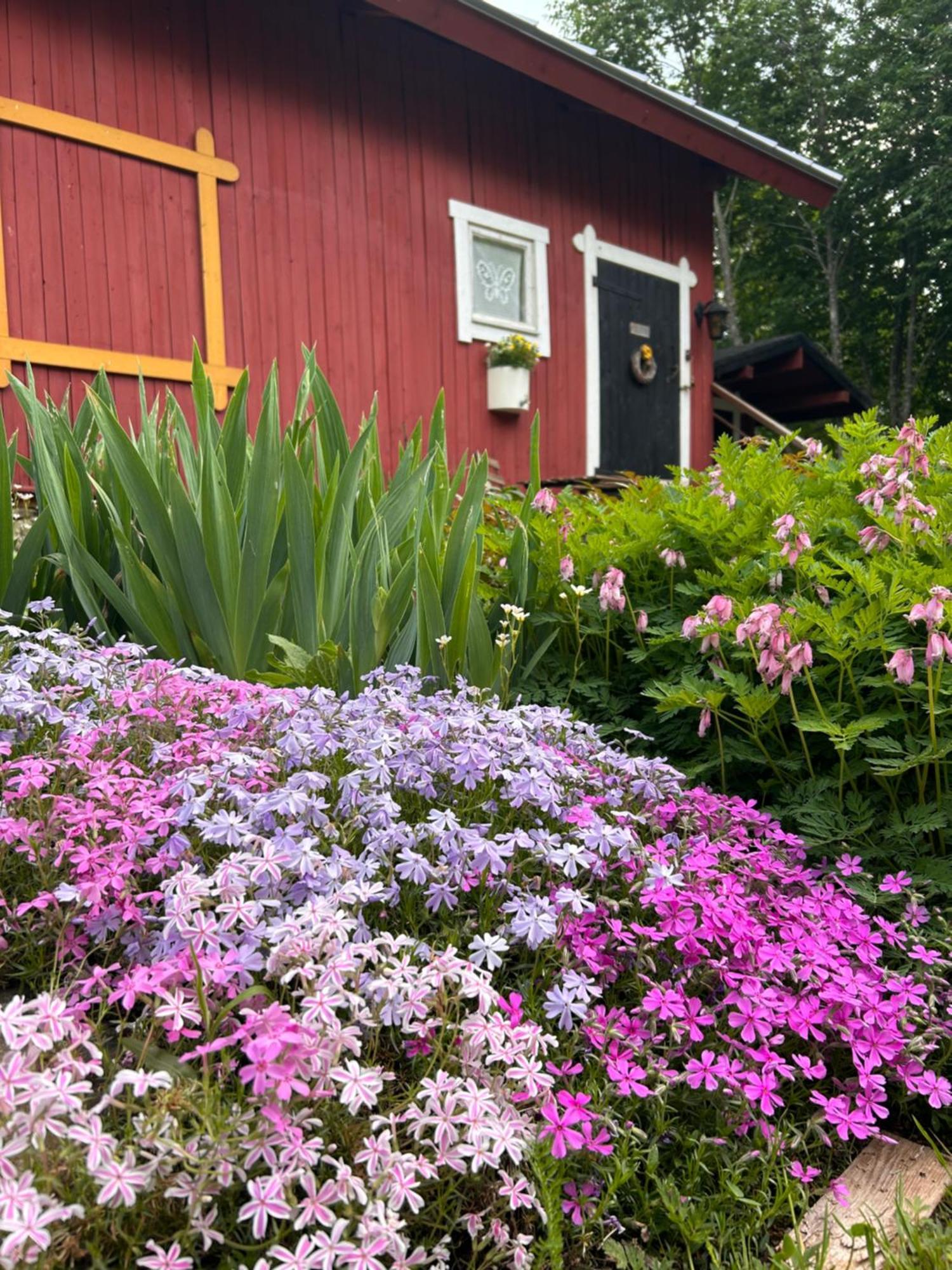 Savikulma B&B Mynamaki Esterno foto